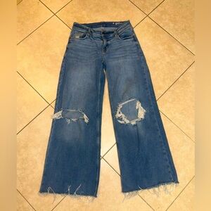 Arizona Jean Company Blue Flare Wide Leg Jeans